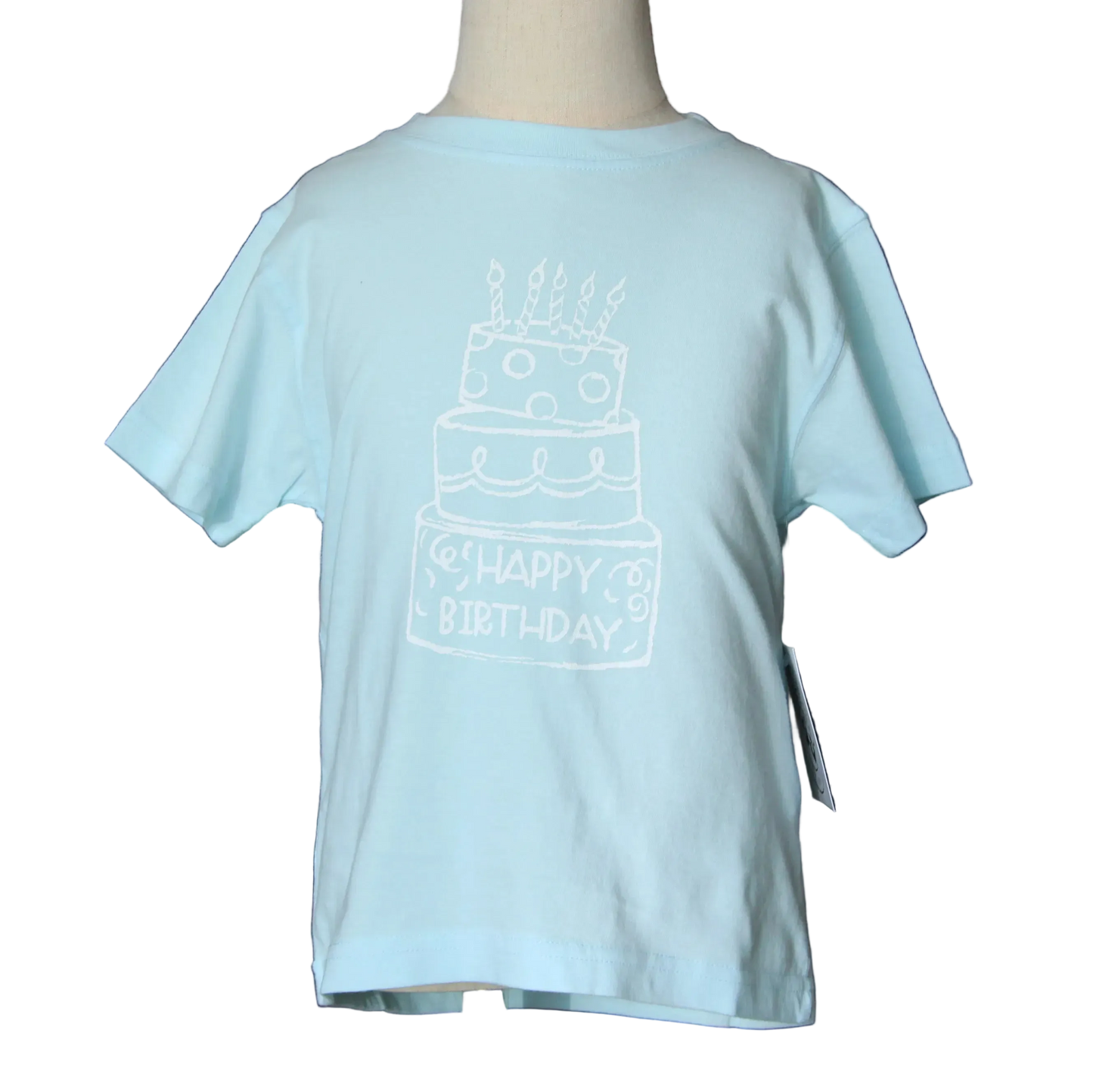 Light Blue Birthday Cake T-Shirt
