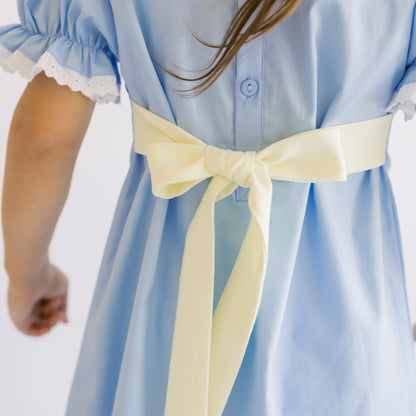Peter Rabbit Smocked Dress