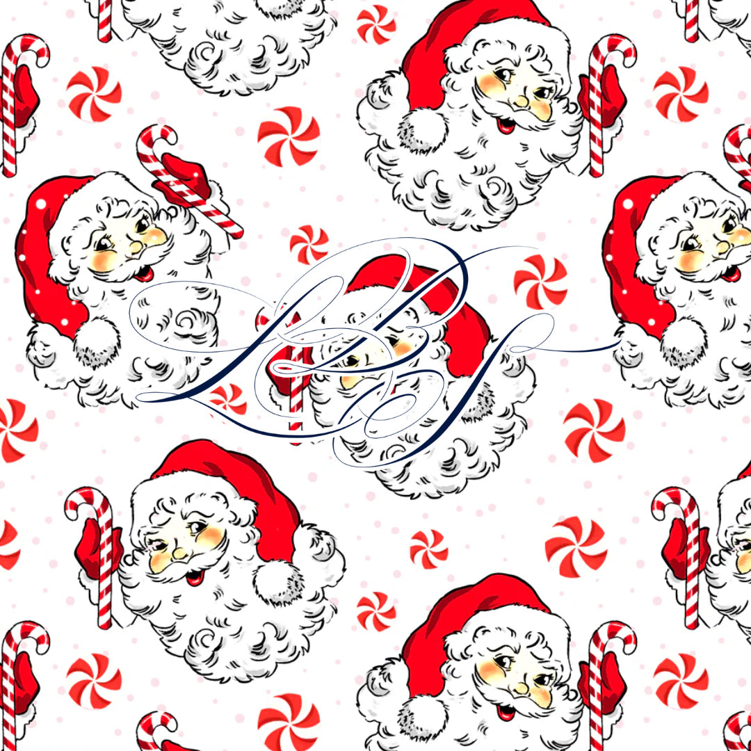 VINTAGE SANTA POLO